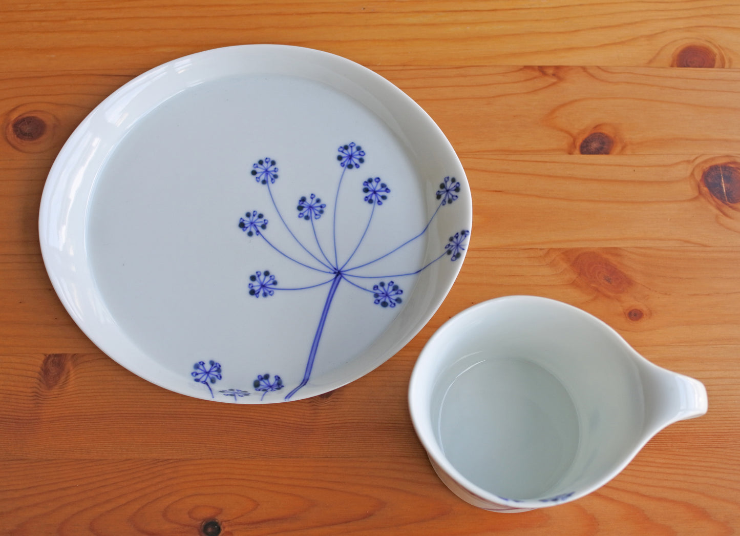 レースフラワー / アメリカンカップ