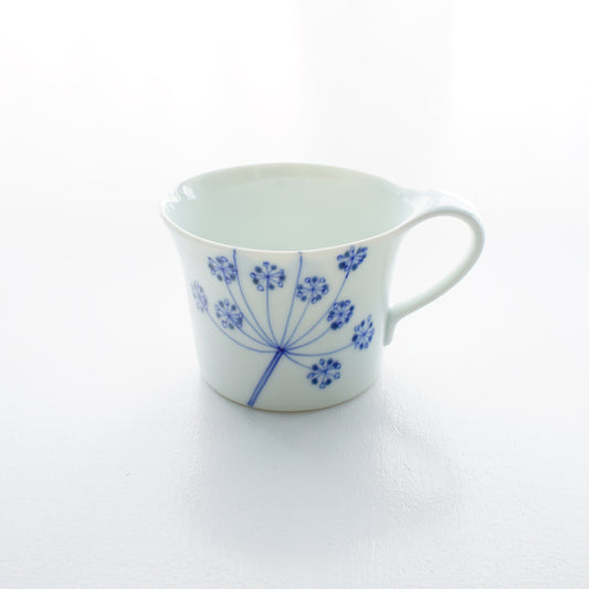 レースフラワー / アメリカンカップ