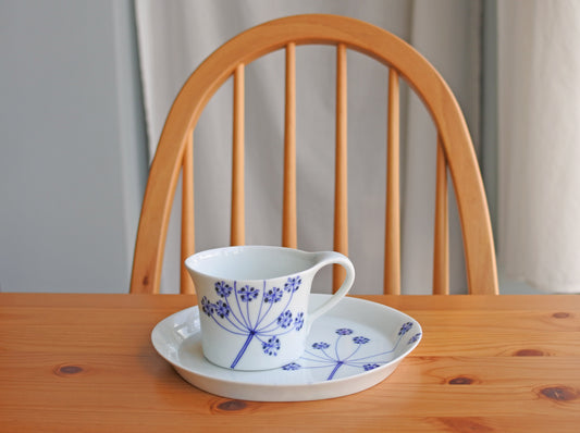 レースフラワー / アメリカンカップ